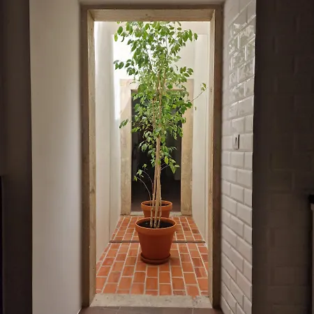Casas De