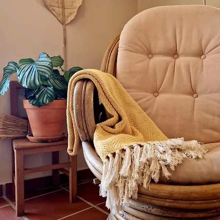 Vakantiehuis Casas De *