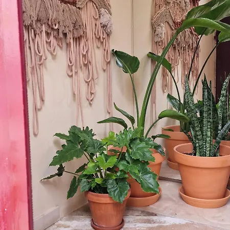 Casas De 度假居 康斯坦西亚